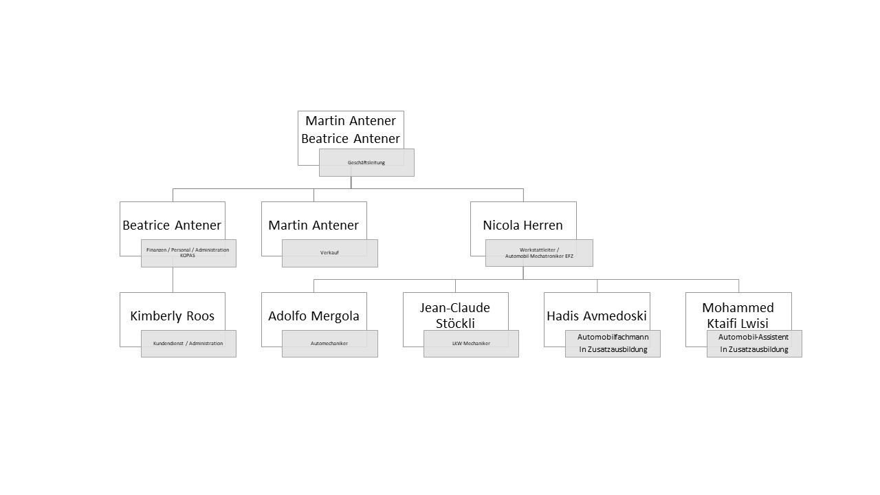 Organigramm 10.12.2024